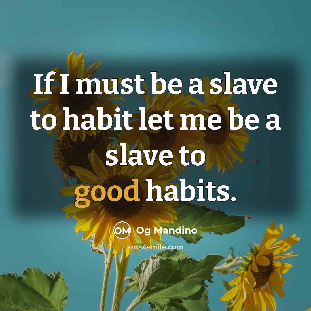 “If I must be a slave to habit let me be a slave to good habits.” quote by Og Mandino