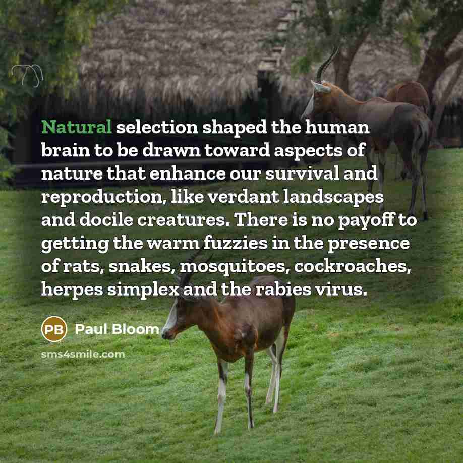 “Natural selection shaped the human brain to be drawn toward aspects of nature that enhance our survival and reproduction, like verdant landscapes and docile creatures. There is no payoff to getting the warm fuzzies in the presence of rats, snakes, mosquitoes, cockroaches, herpes simplex and the…” quote by Paul Bloom