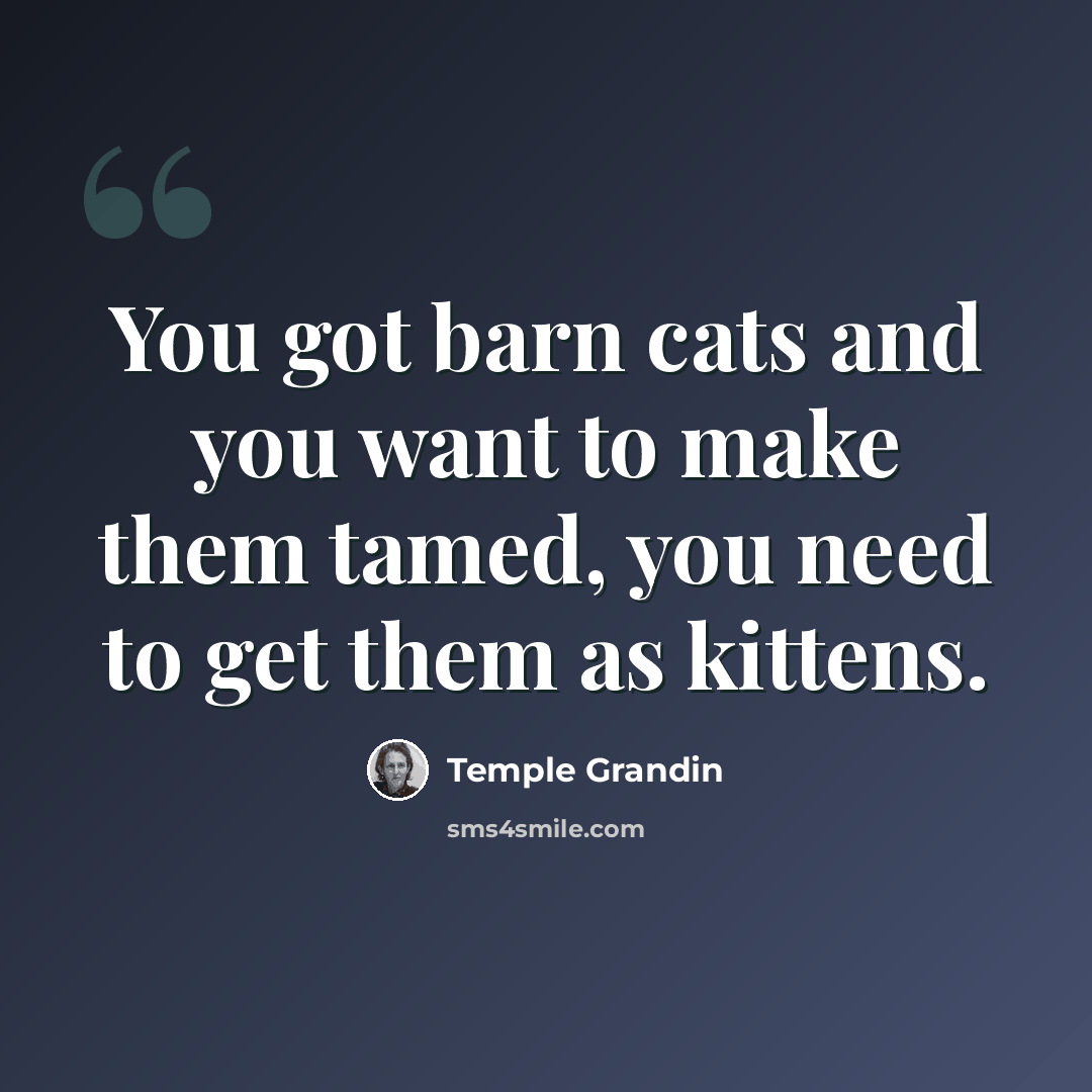 “You got barn cats and you want to make them tamed, you need to get them as kittens.” quote by Temple Grandin