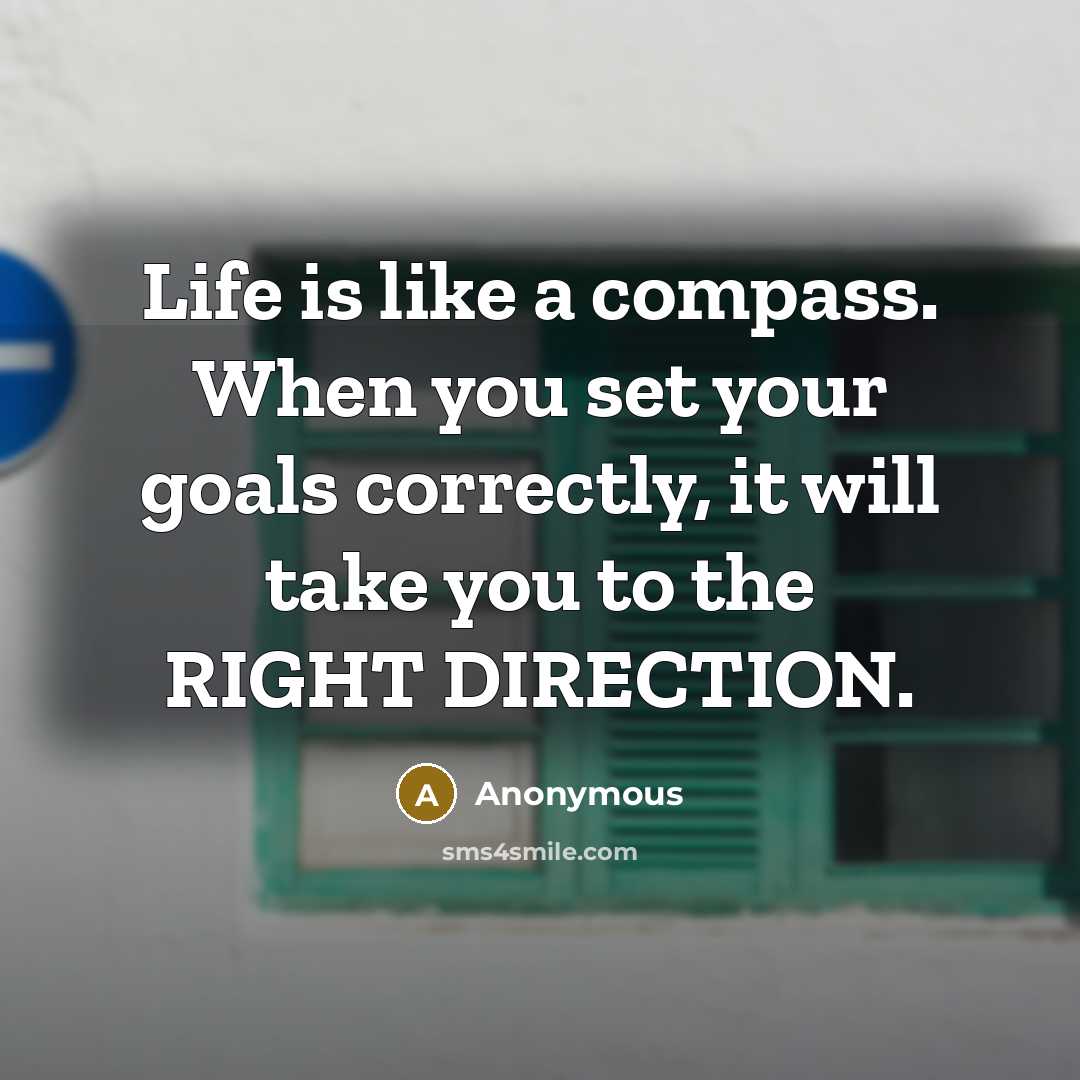 “Life is like a compass. When you set your goals correctly, it will take you to the RIGHT DIRECTION.” quote by Anonymous