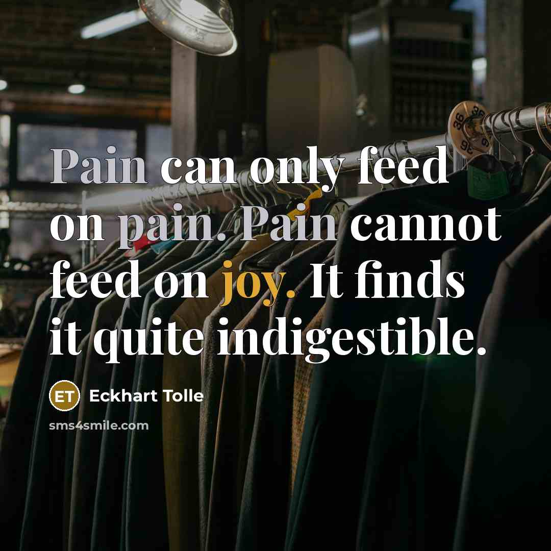 “Pain can only feed on pain. Pain cannot feed on joy. It finds it quite indigestible.” quote by Eckhart Tolle