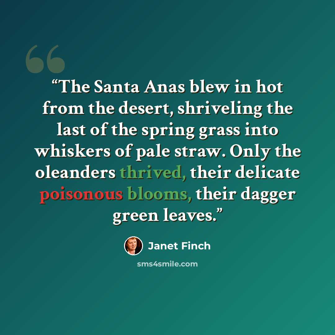 “The Santa Anas blew in hot from the desert, shriveling the last of the spring grass into whiskers of pale straw. Only the oleanders thrived, their delicate poisonous blooms, their dagger green leaves.” quote by Janet Finch
