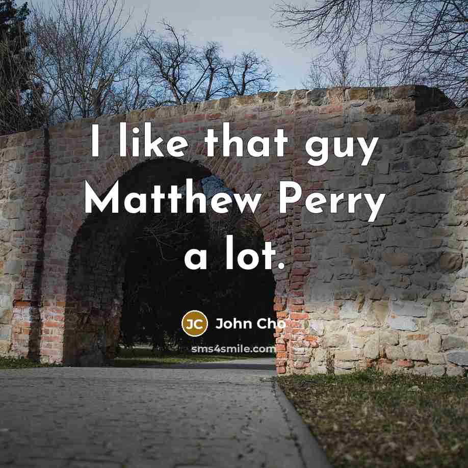 “I like that guy Matthew Perry a lot.” quote by John Cho