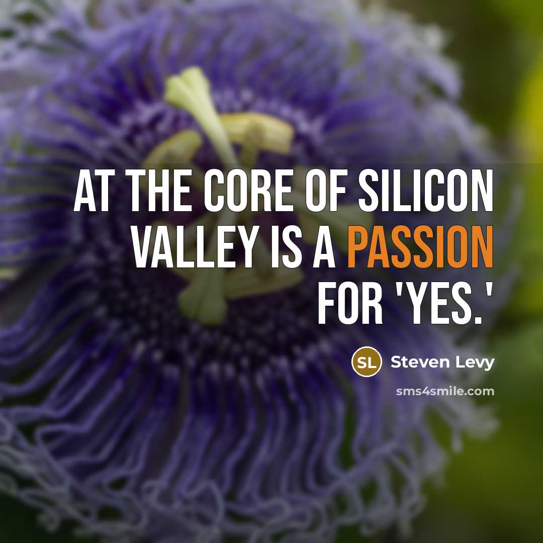 “At the core of Silicon Valley is a passion for 'yes.'” quote by Steven Levy