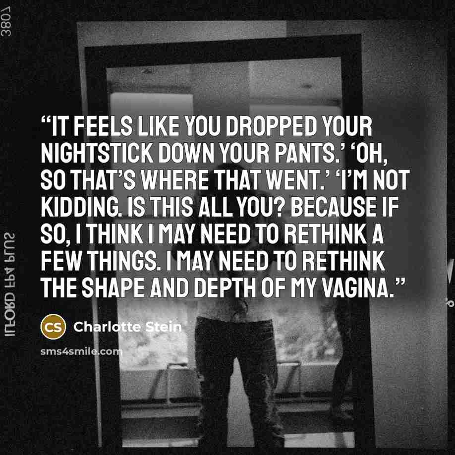 “It feels like you dropped your nightstick down your pants.’ ‘Oh, so that’s where that went.’ ‘I’m not kidding. Is this all you? Because if so, I think I may need to rethink a few things. I may need to rethink the shape and depth of my vagina.” quote by Charlotte Stein