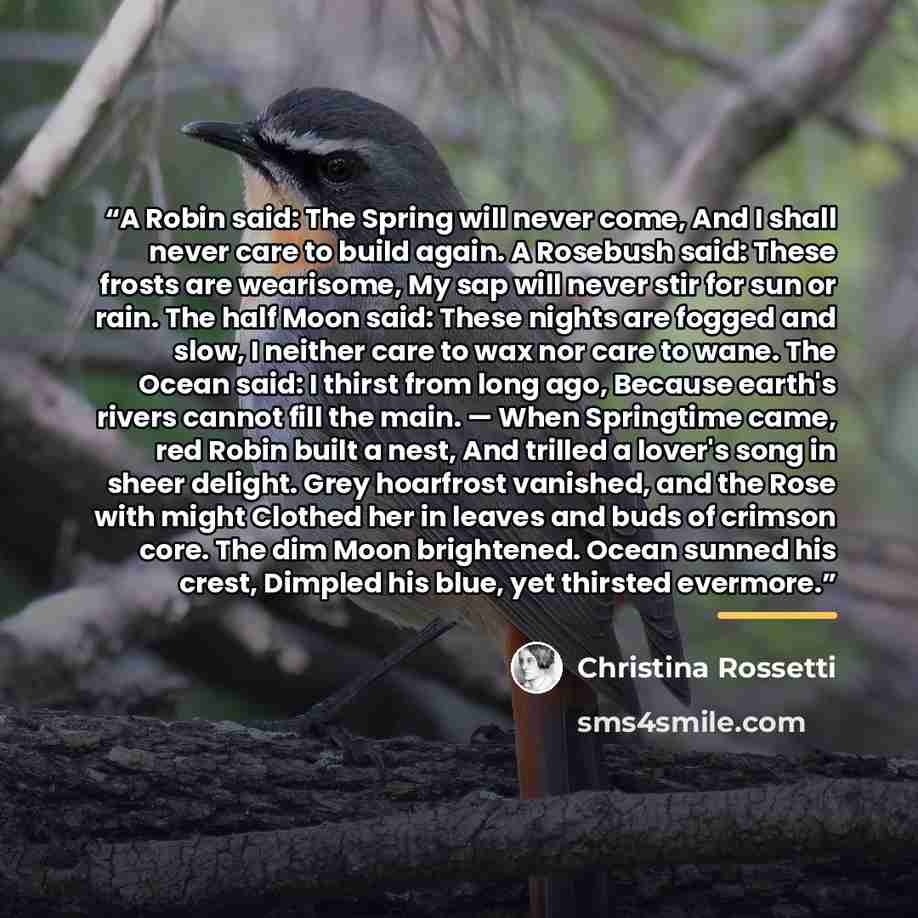 “A Robin said: The Spring will never come, And I shall never care to build again. A Rosebush said: These frosts are wearisome, My sap will never stir for sun or rain. The half Moon said: These nights are fogged and slow, I neither care to wax nor care to wane. The Ocean said: I thirst from long…” quote by Christina Rossetti