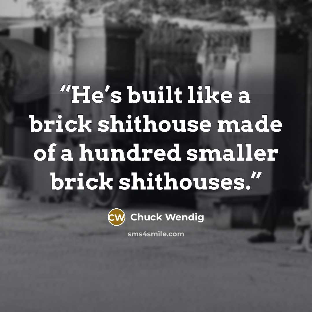 “He’s built like a brick shithouse made of a hundred smaller brick shithouses.” quote by Chuck Wendig
