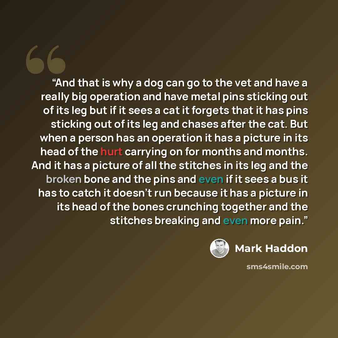 “And that is why a dog can go to the vet and have a really big operation and have metal pins sticking out of its leg but if it sees a cat it forgets that it has pins sticking out of its leg and chases after the cat. But when a person has an operation it has a picture in its head of the hurt…” quote by Mark Haddon
