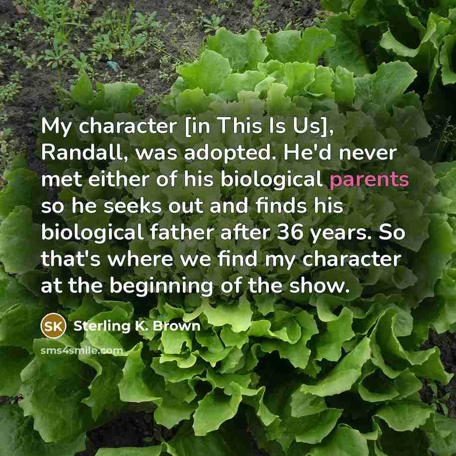 “My character [in This Is Us], Randall, was adopted. He'd never met either of his biological parents so he seeks out and finds his biological father after 36 years. So that's where we find my character at the beginning of the show.” quote by Sterling K. Brown