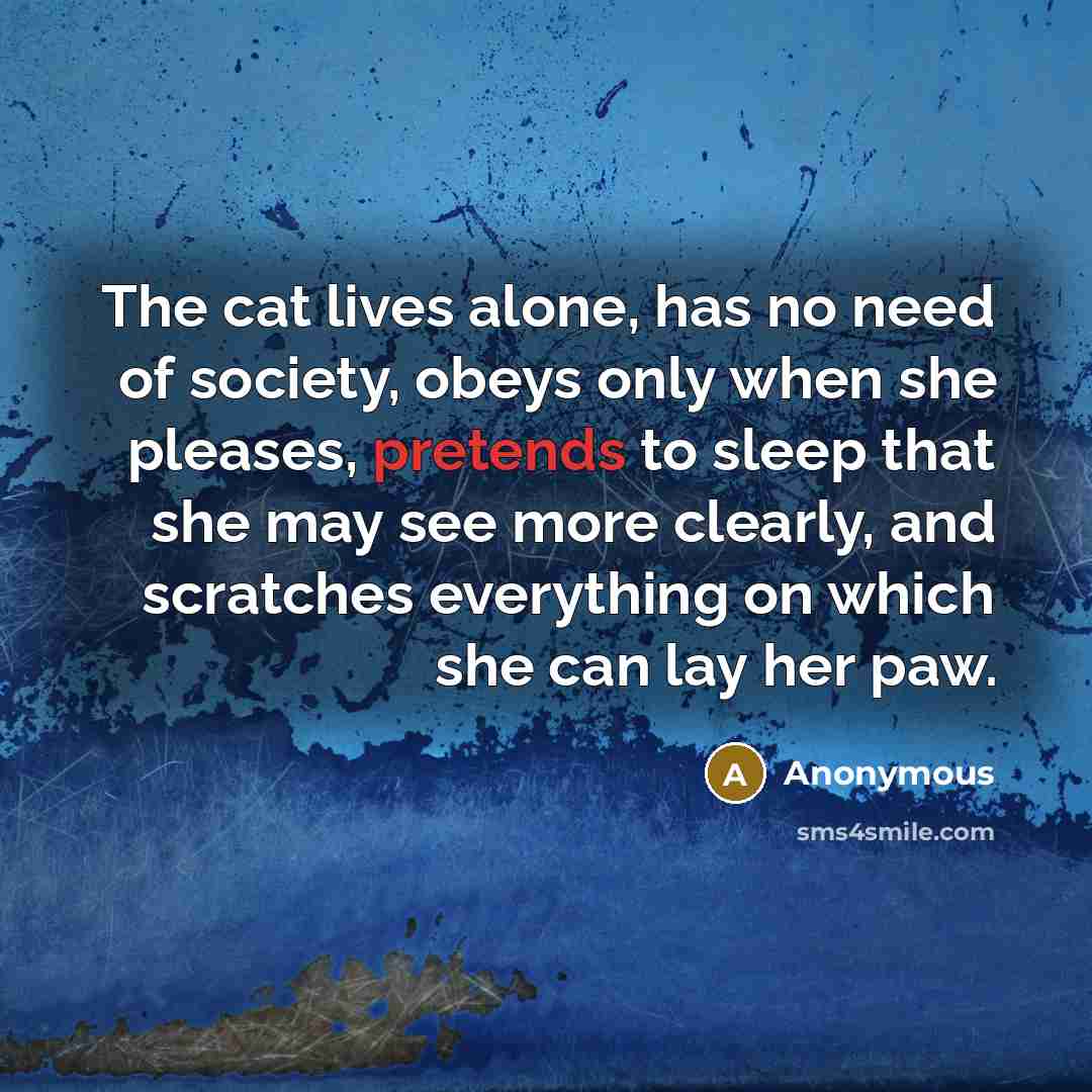 “The cat lives alone, has no need of society, obeys only when she pleases, pretends to sleep that she may see more clearly, and scratches everything on which she can lay her paw.” quote by Anonymous