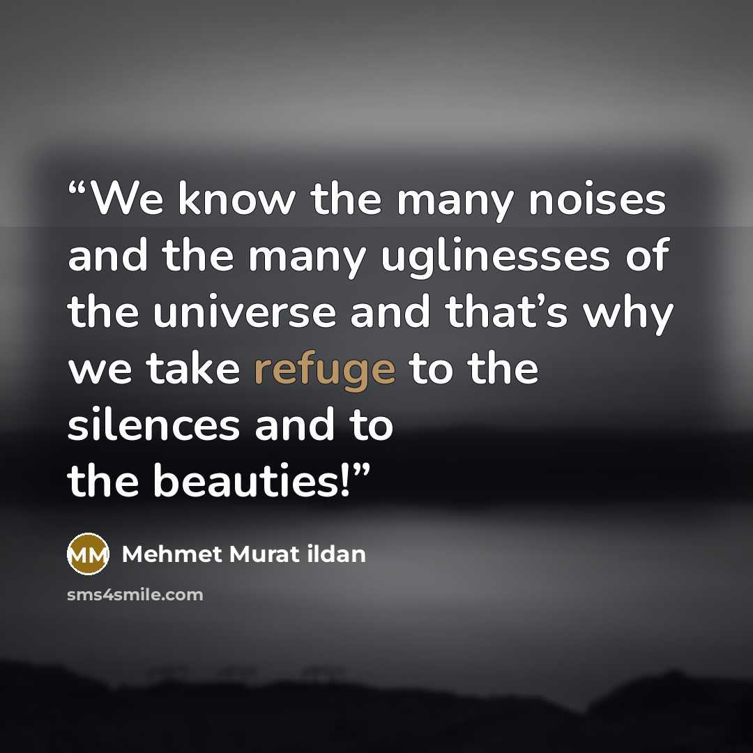 “We know the many noises and the many uglinesses of the universe and that’s why we take refuge to the silences and to the beauties!” quote by Mehmet Murat ildan
