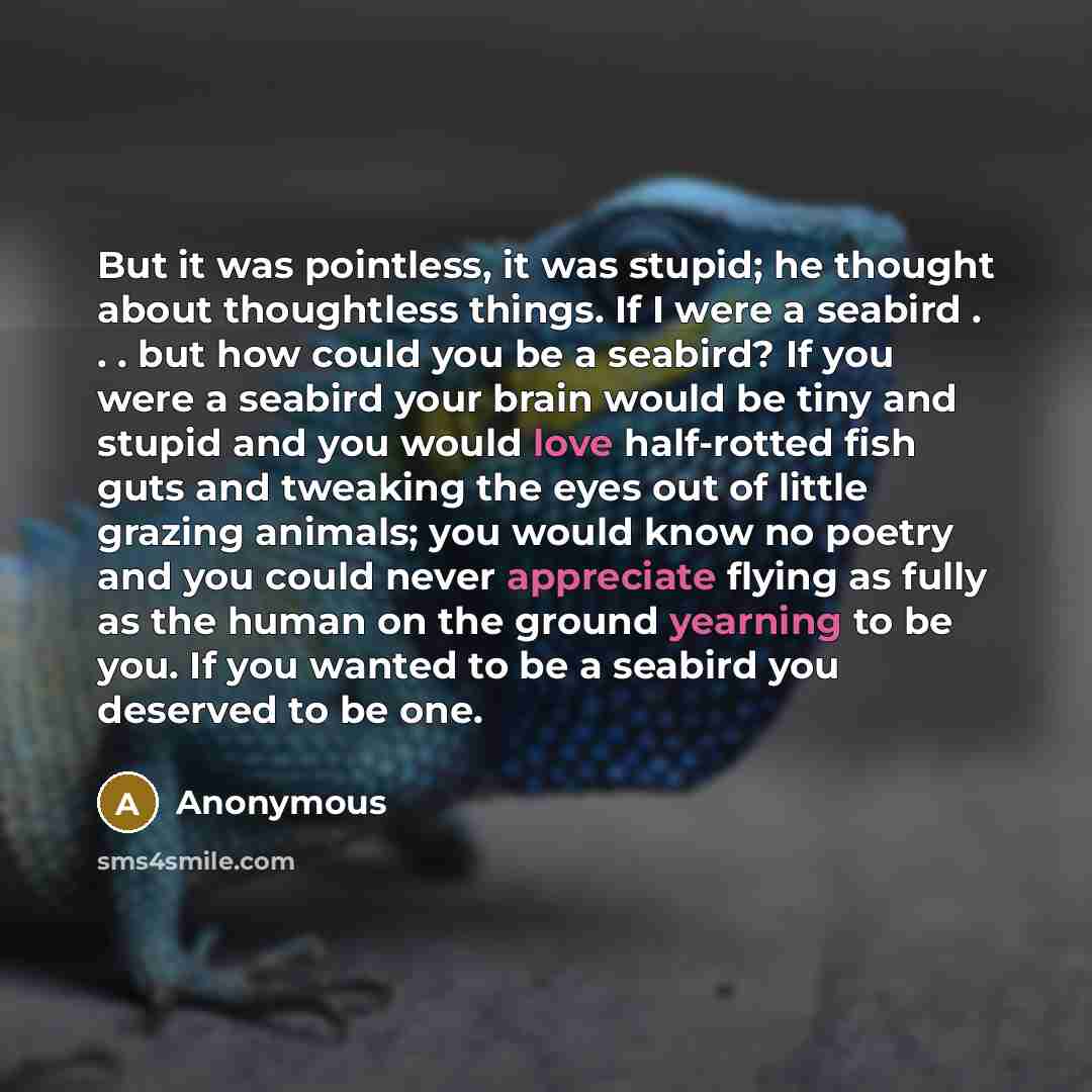“But it was pointless, it was stupid; he thought about thoughtless things. If I were a seabird . . . but how could you be a seabird? If you were a seabird your brain would be tiny and stupid and you would love half-rotted fish guts and tweaking the eyes out of little grazing animals; you would know…” quote by Anonymous