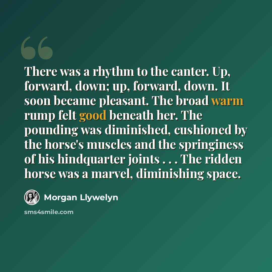 “There was a rhythm to the canter. Up, forward, down; up, forward, down. It soon became pleasant. The broad warm rump felt good beneath her. The pounding was diminished, cushioned by the horse's muscles and the springiness of his hindquarter joints . . . The ridden horse was a marvel, diminishing…” quote by Morgan Llywelyn