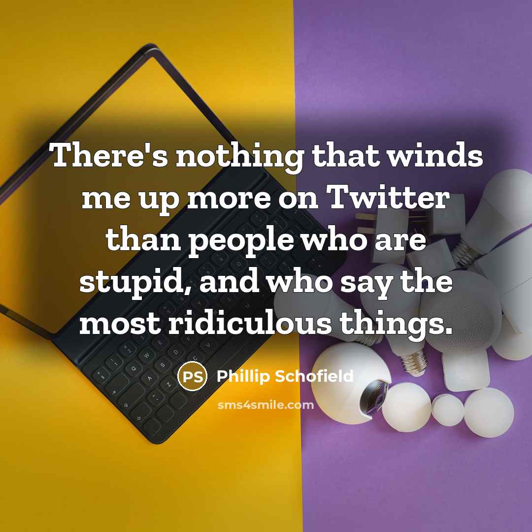 “There's nothing that winds me up more on Twitter than people who are stupid, and who say the most ridiculous things.” quote by Phillip Schofield