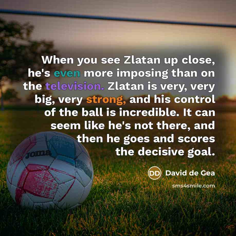 “When you see Zlatan up close, he's even more imposing than on the television. Zlatan is very, very big, very strong, and his control of the ball is incredible. It can seem like he's not there, and then he goes and scores the decisive goal.” quote by David de Gea
