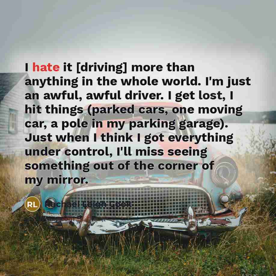 “I hate it [driving] more than anything in the whole world. I'm just an awful, awful driver. I get lost, I hit things (parked cars, one moving car, a pole in my parking garage). Just when I think I got everything under control, I'll miss seeing something out of the corner of my mirror.” quote by Rachael Leigh Cook