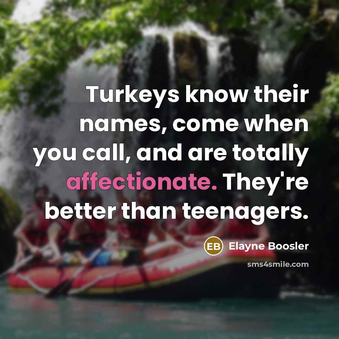 “Turkeys know their names, come when you call, and are totally affectionate. They're better than teenagers.” quote by Elayne Boosler