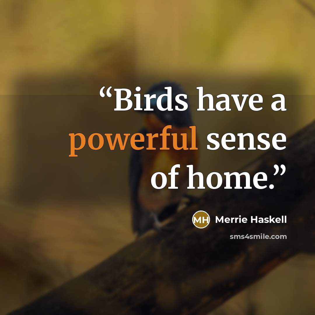 “Birds have a powerful sense of home.” quote by Merrie Haskell