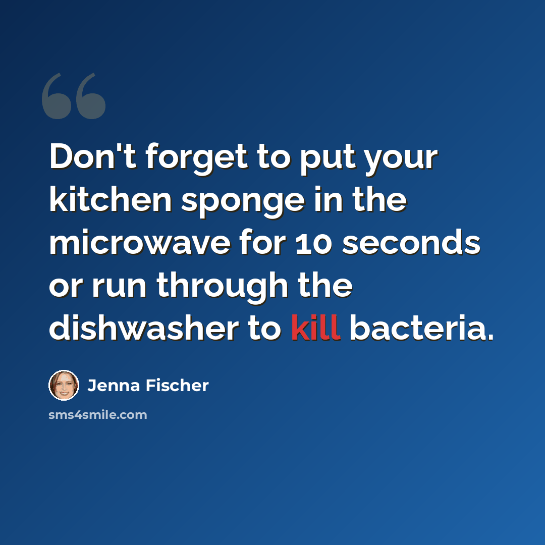 “Don't forget to put your kitchen sponge in the microwave for 10 seconds or run through the dishwasher to kill bacteria.” quote by Jenna Fischer