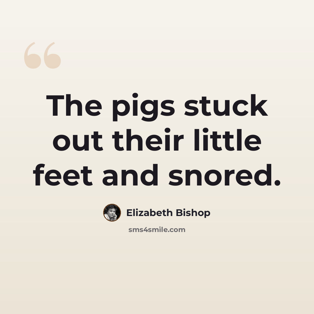 “The pigs stuck out their little feet and snored.” quote by Elizabeth Bishop