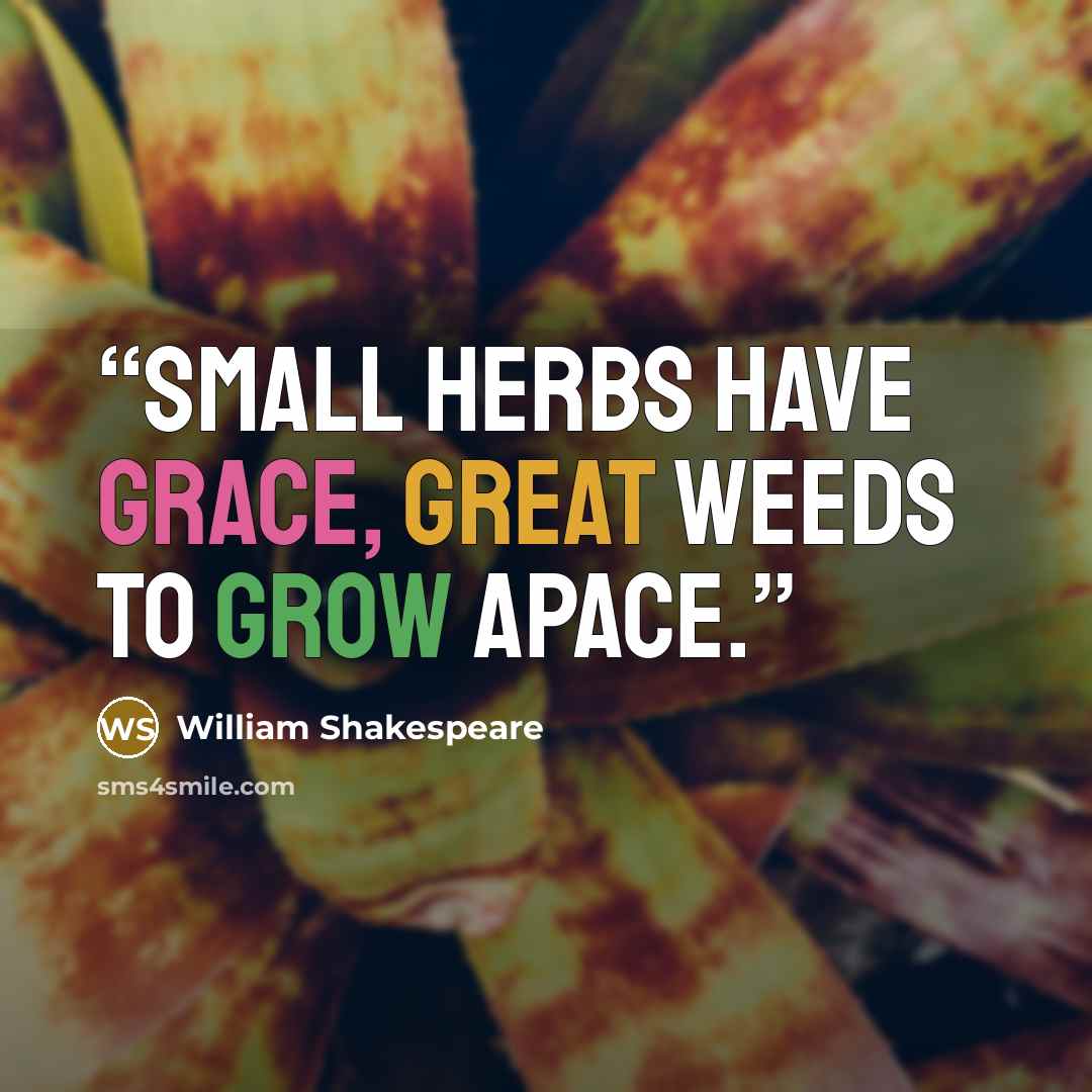 “Small herbs have grace, great weeds to grow apace.” quote by William Shakespeare