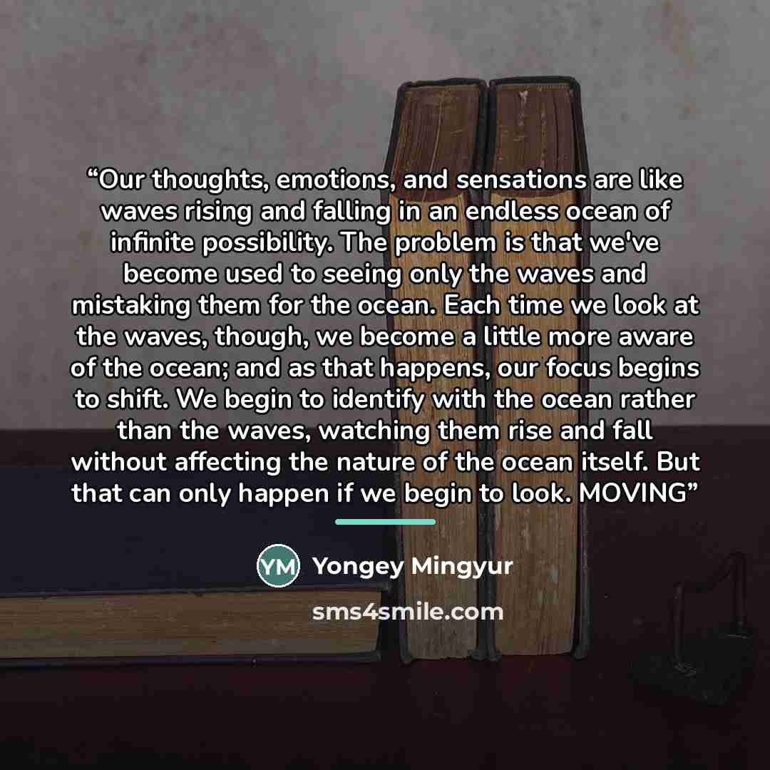 “Our thoughts, emotions, and sensations are like waves rising and falling in an endless ocean of infinite possibility. The problem is that we've become used to seeing only the waves and mistaking them for the ocean. Each time we look at the waves, though, we become a little more aware of the ocean…” quote by Yongey Mingyur