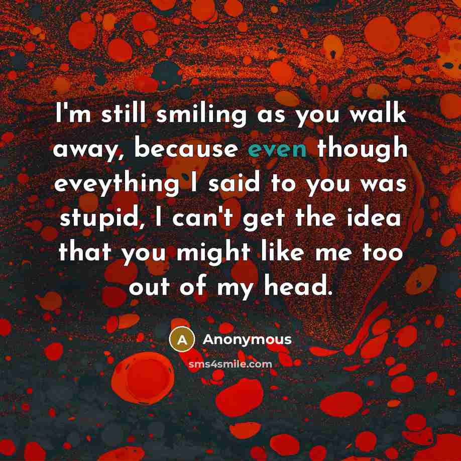 “I'm still smiling as you walk away, because even though eveything I said to you was stupid, I can't get the idea that you might like me too out of my head.” quote by Anonymous