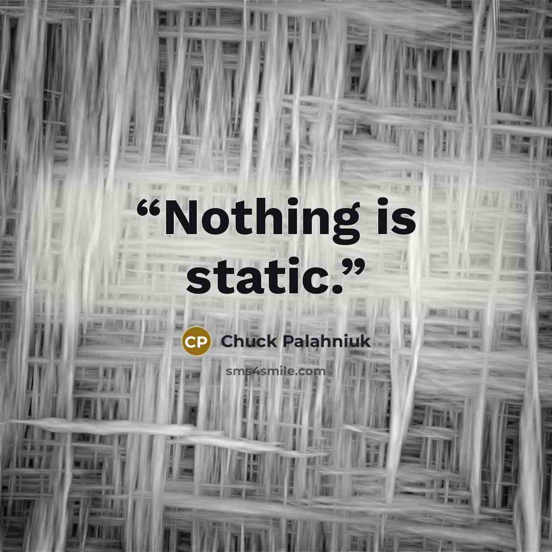 “Nothing is static.” quote by Chuck Palahniuk