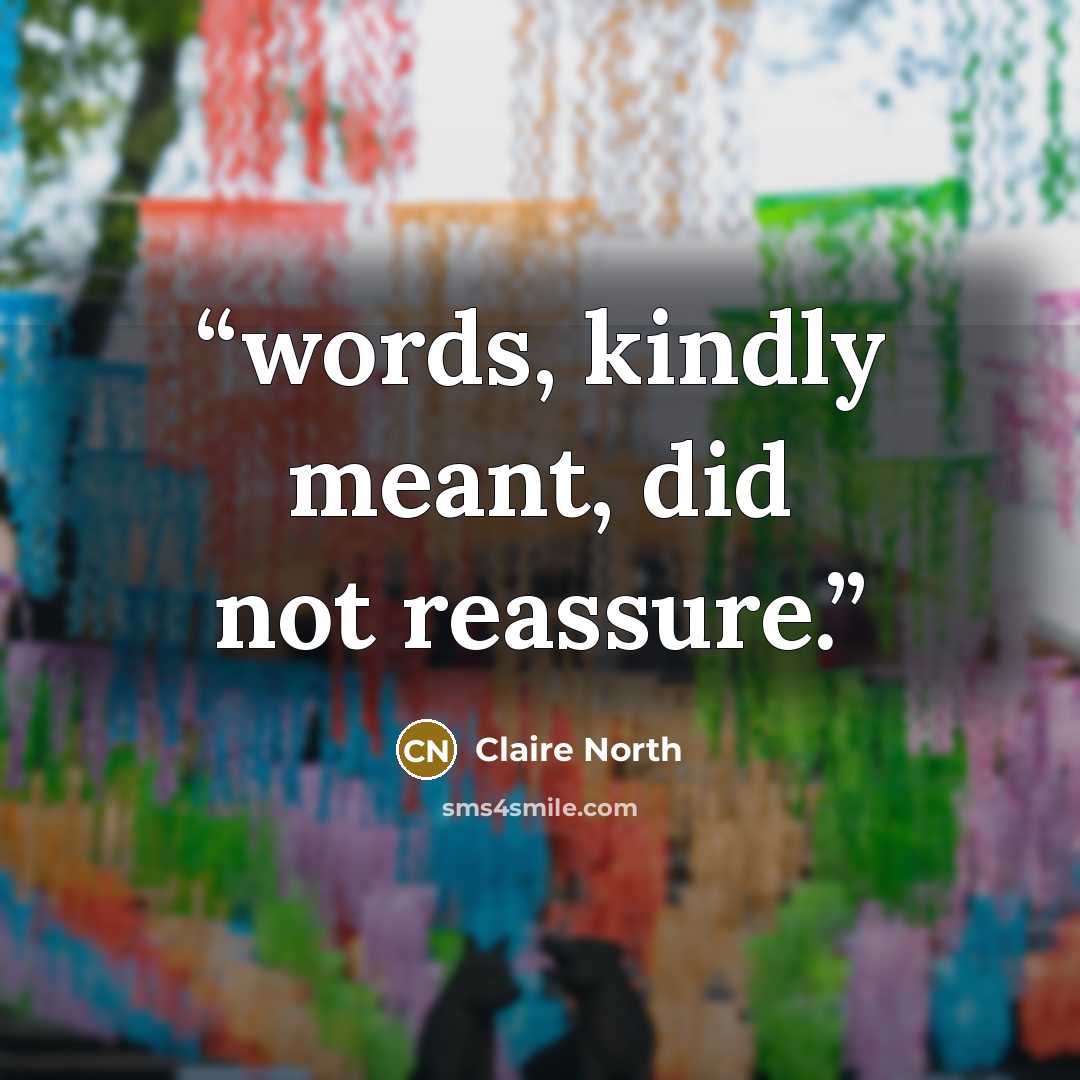 “words, kindly meant, did not reassure.” quote by Claire North