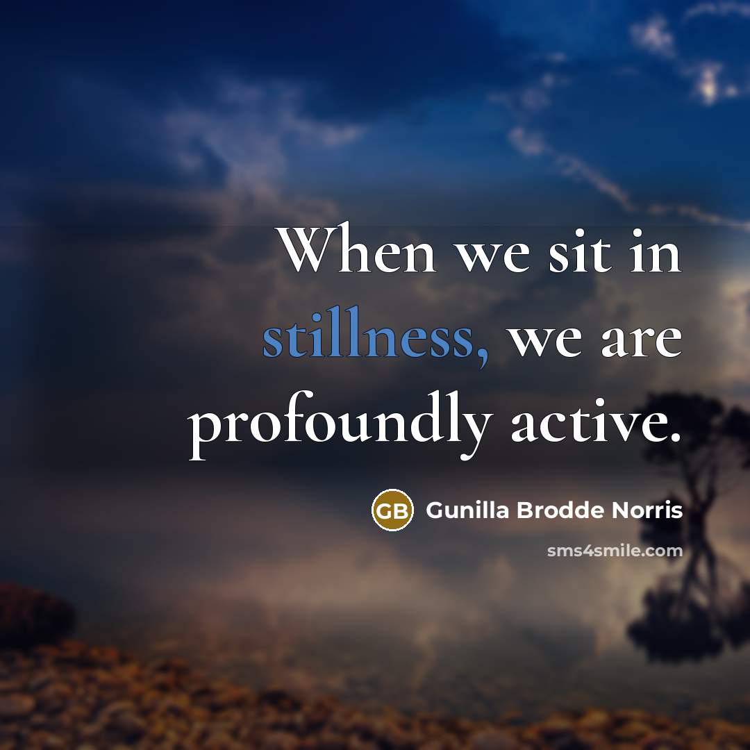 “When we sit in stillness, we are profoundly active.” quote by Gunilla Brodde Norris