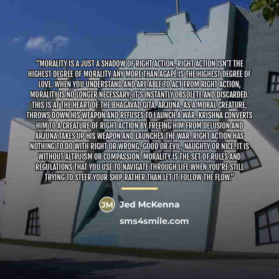 “Morality is a just a shadow of right action. Right action isn’t the highest degree of morality any more than agapè is the highest degree of love. When you understand and are able to act from right action, morality is no longer necessary; it’s instantly obsolete and discarded. This is at the heart…” quote by Jed McKenna