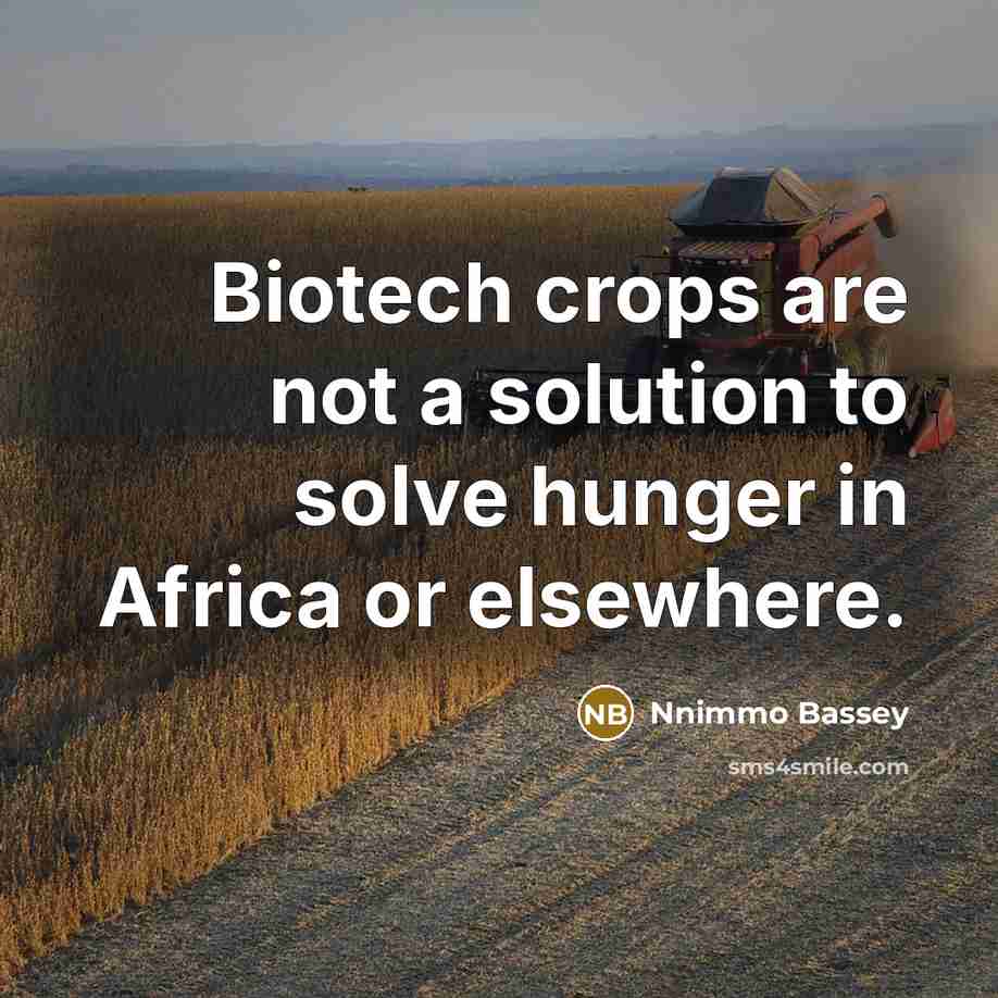 “Biotech crops are not a solution to solve hunger in Africa or elsewhere.” quote by Nnimmo Bassey