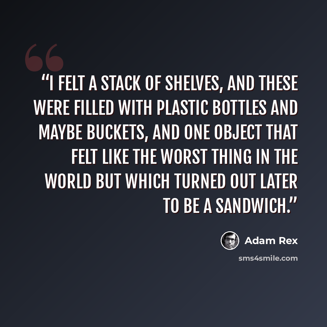 “I felt a stack of shelves, and these were filled with plastic bottles and maybe buckets, and one object that felt like the worst thing in the world but which turned out later to be a sandwich.” quote by Adam Rex