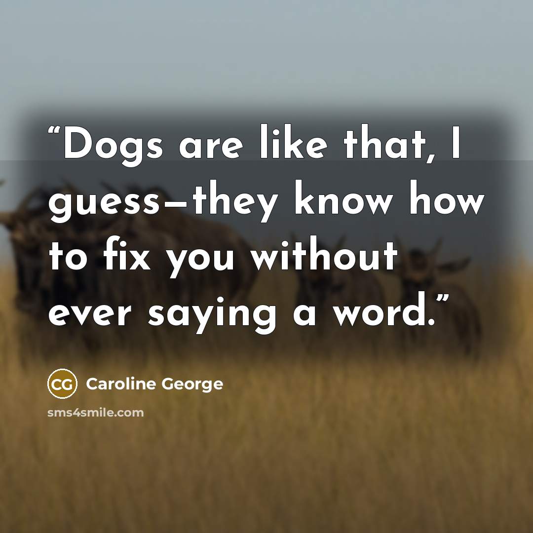 “Dogs are like that, I guess—they know how to fix you without ever saying a word.” quote by Caroline George