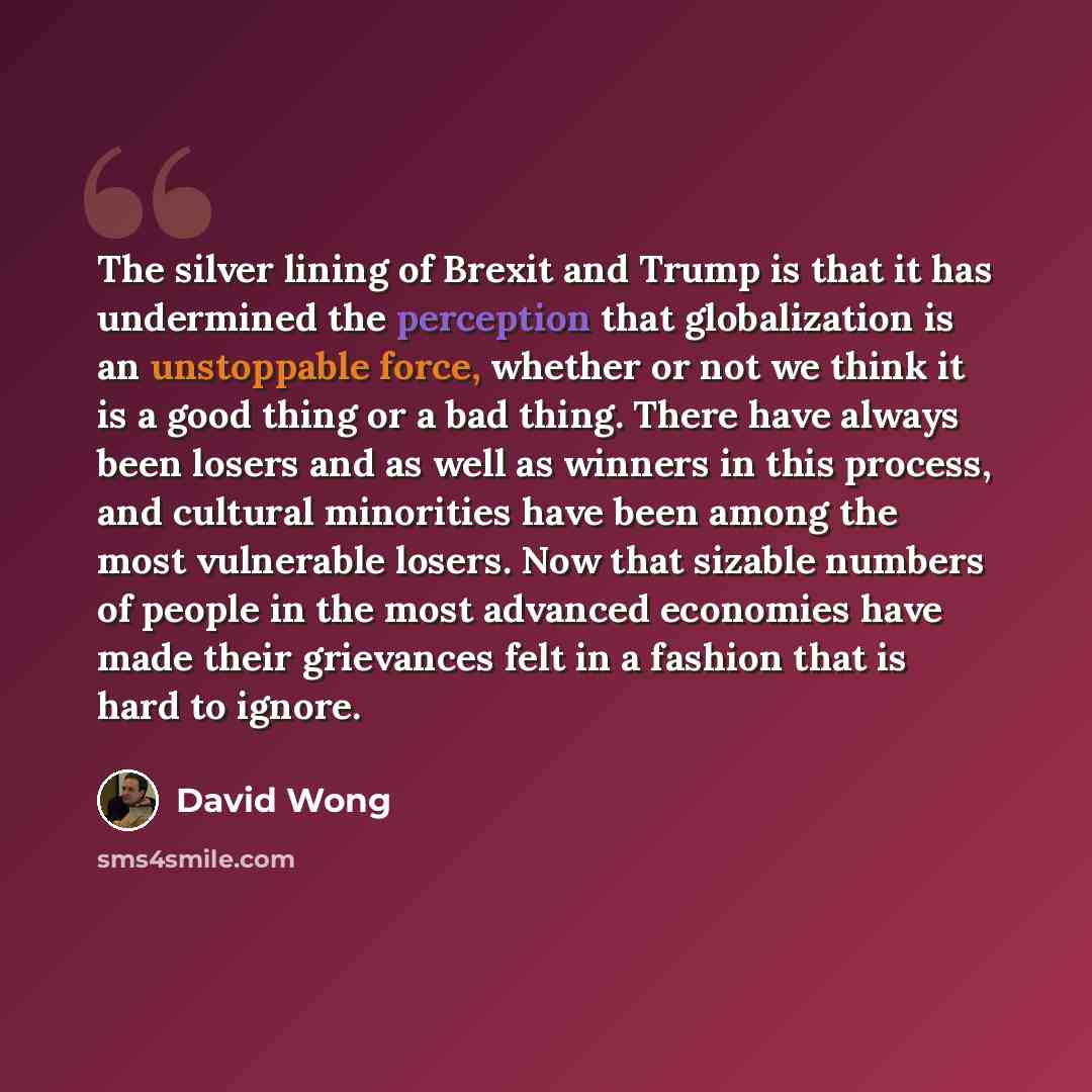 “The silver lining of Brexit and Trump is that it has undermined the perception that globalization is an unstoppable force, whether or not we think it is a good thing or a bad thing. There have always been losers and as well as winners in this process, and cultural minorities have been among the…” quote by David Wong
