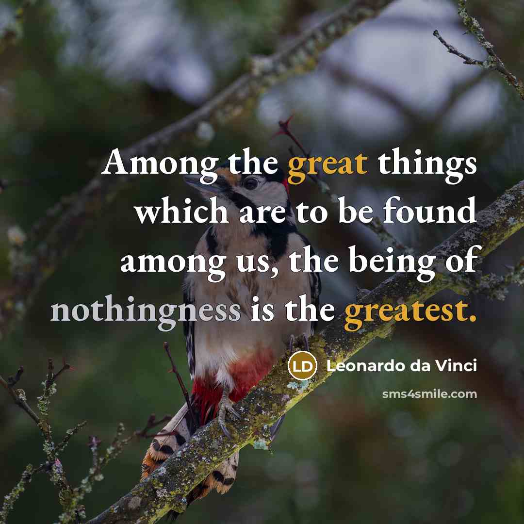 “Among the great things which are to be found among us, the being of nothingness is the greatest.” quote by Leonardo da Vinci