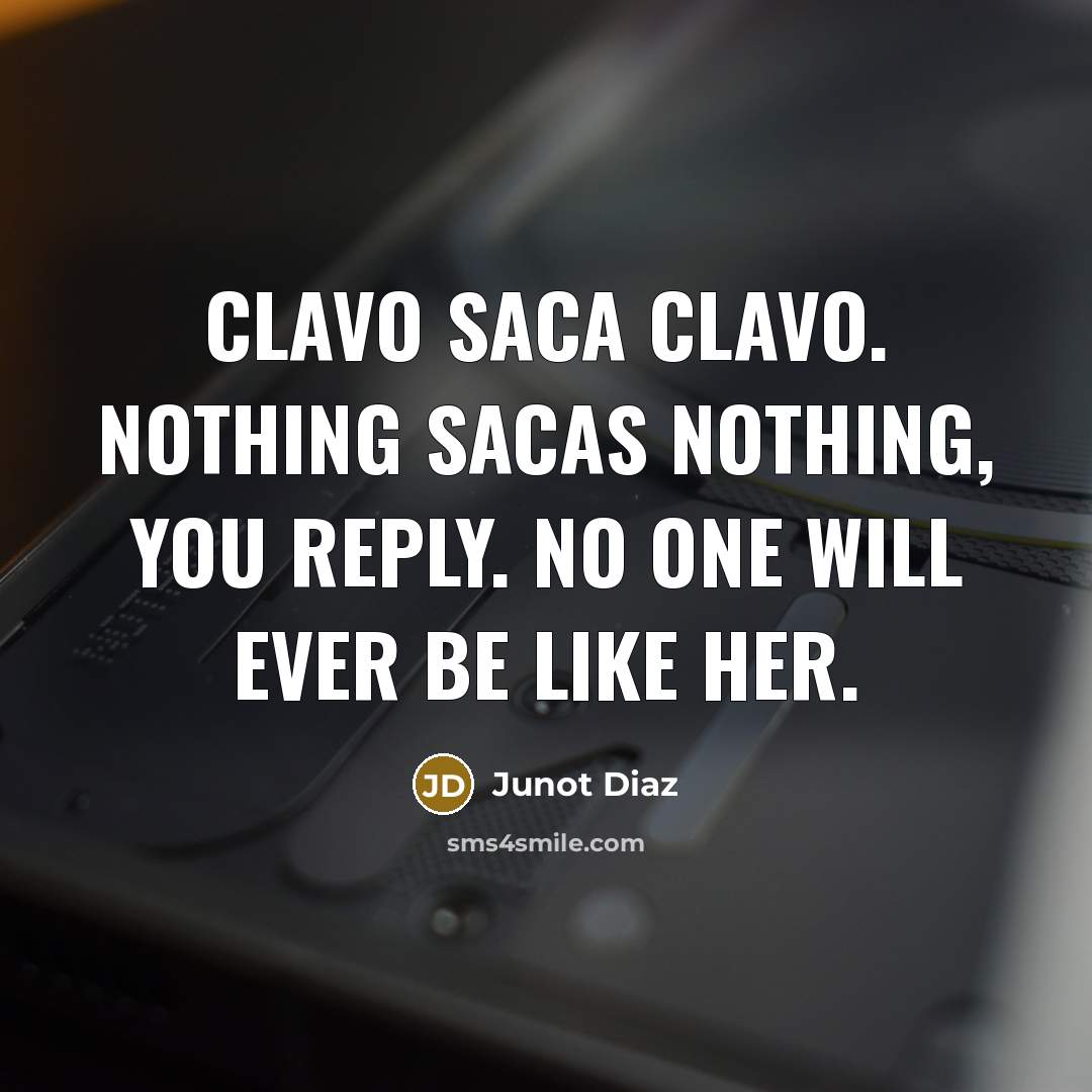 “Clavo saca clavo. Nothing sacas nothing, you reply. No one will ever be like her.” quote by Junot Diaz