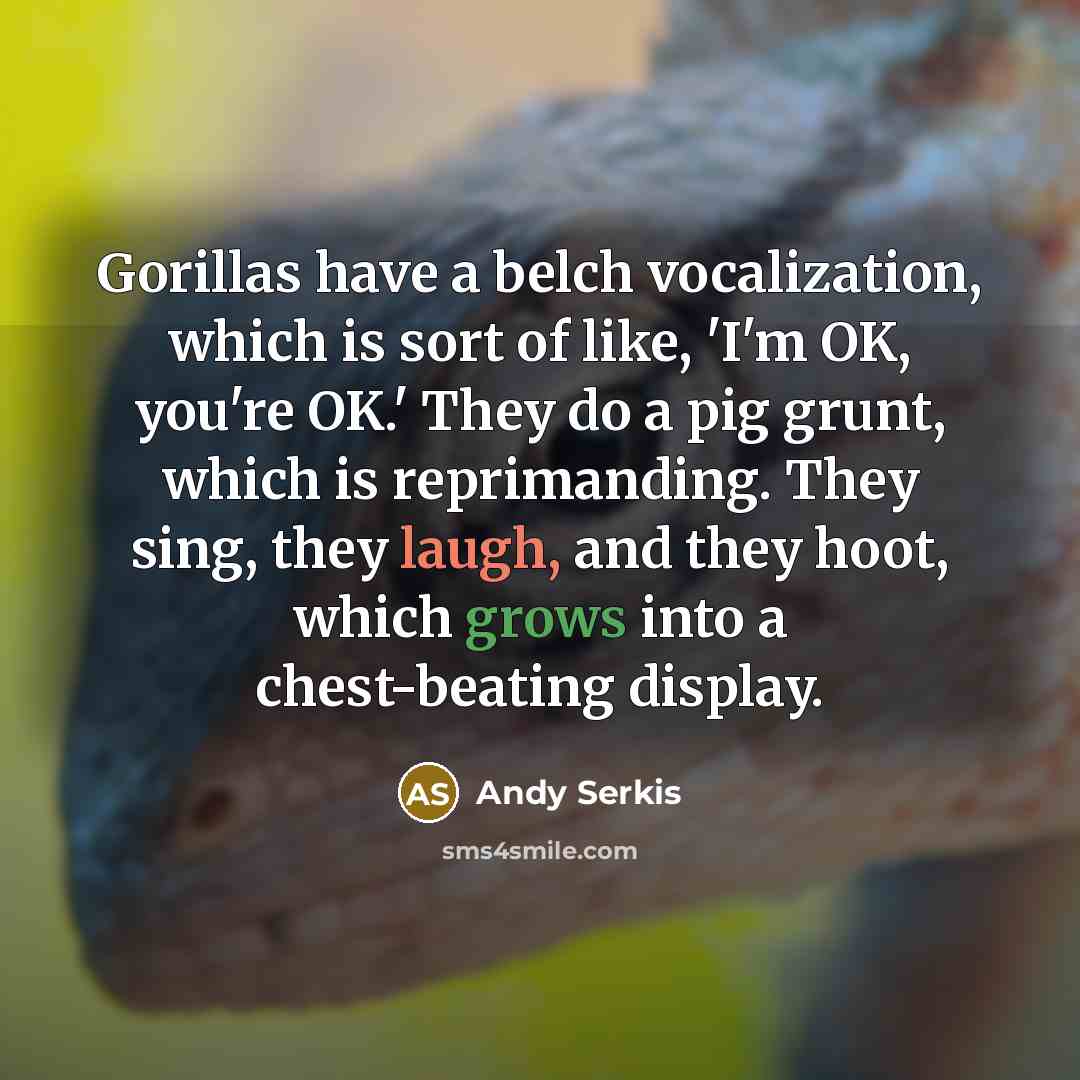 “Gorillas have a belch vocalization, which is sort of like, 'I'm OK, you're OK.' They do a pig grunt, which is reprimanding. They sing, they laugh, and they hoot, which grows into a chest-beating display.” quote by Andy Serkis