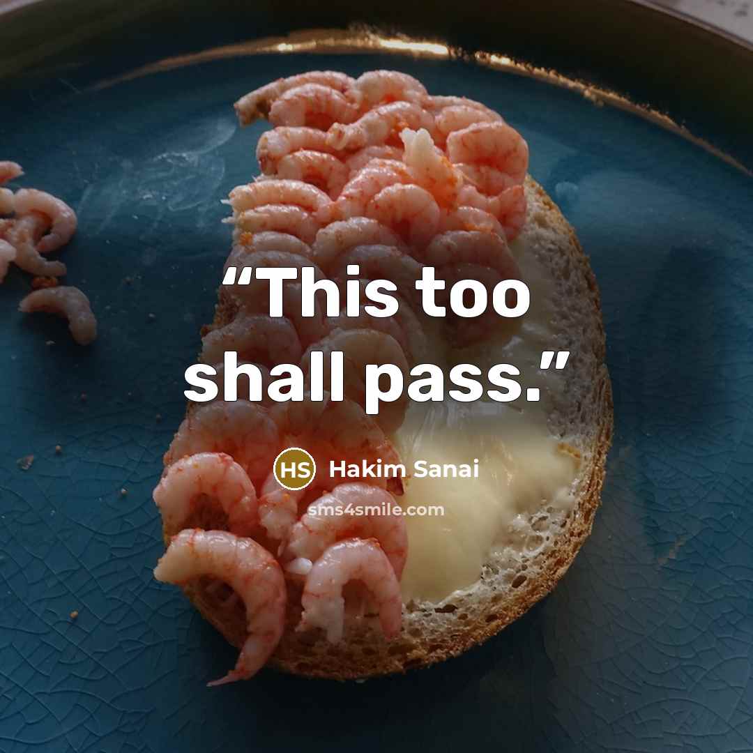 “This too shall pass.” quote by Hakim Sanai
