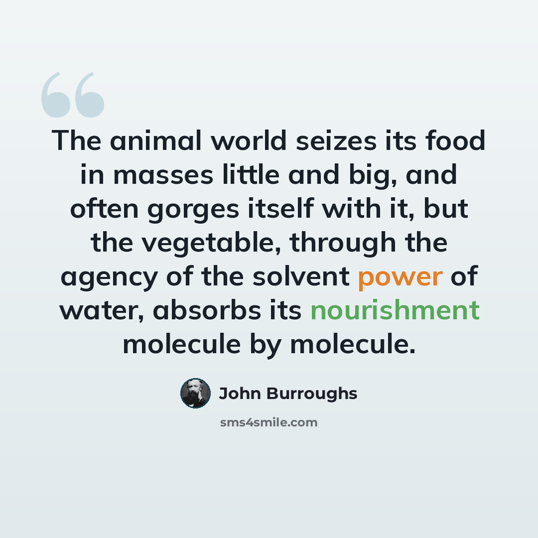 “The animal world seizes its food in masses little and big, and often gorges itself with it, but the vegetable, through the agency of the solvent power of water, absorbs its nourishment molecule by molecule.” quote by John Burroughs
