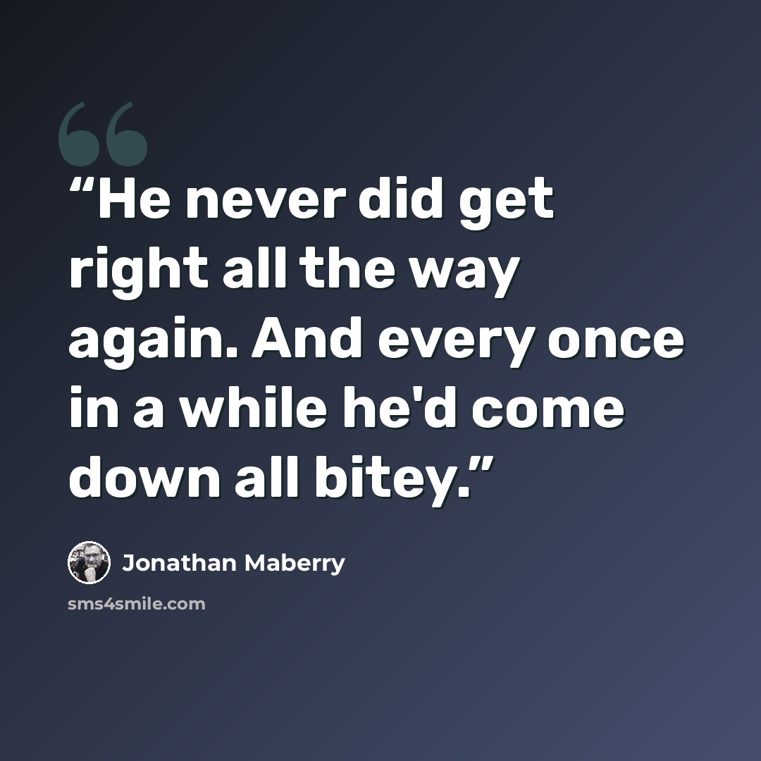 “He never did get right all the way again. And every once in a while he'd come down all bitey.” quote by Jonathan Maberry
