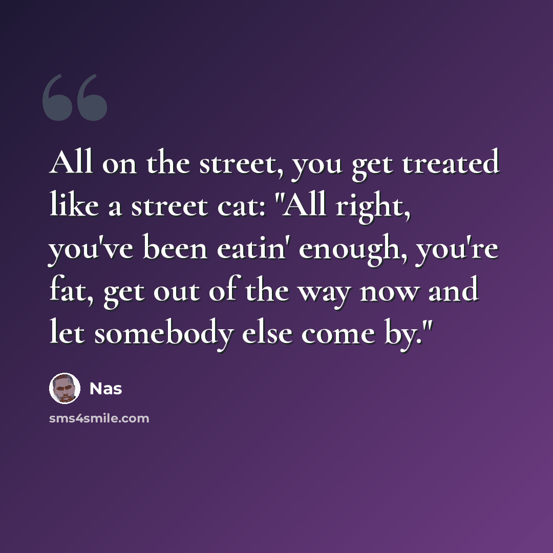 “All on the street, you get treated like a street cat: "All right, you've been eatin' enough, you're fat, get out of the way now and let somebody else come by."” quote by Nas
