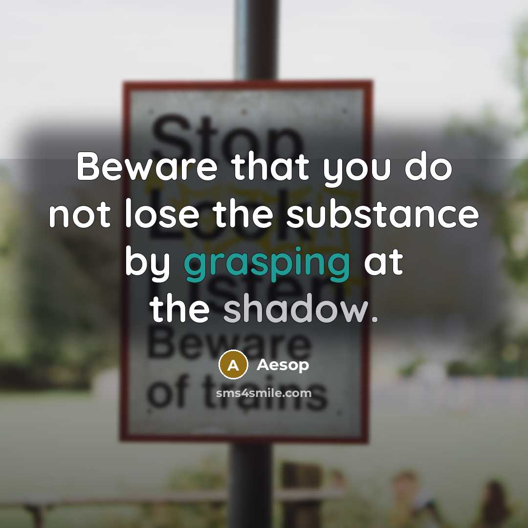 “Beware that you do not lose the substance by grasping at the shadow.” quote by Aesop