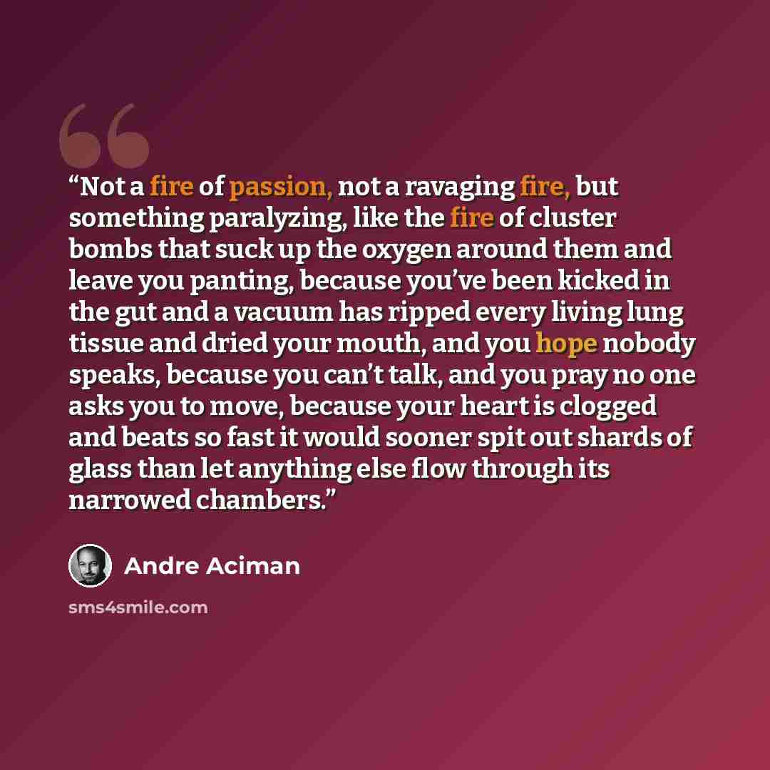 “Not a fire of passion, not a ravaging fire, but something paralyzing, like the fire of cluster bombs that suck up the oxygen around them and leave you panting, because you’ve been kicked in the gut and a vacuum has ripped every living lung tissue and dried your mouth, and you hope nobody speaks…” quote by André Aciman