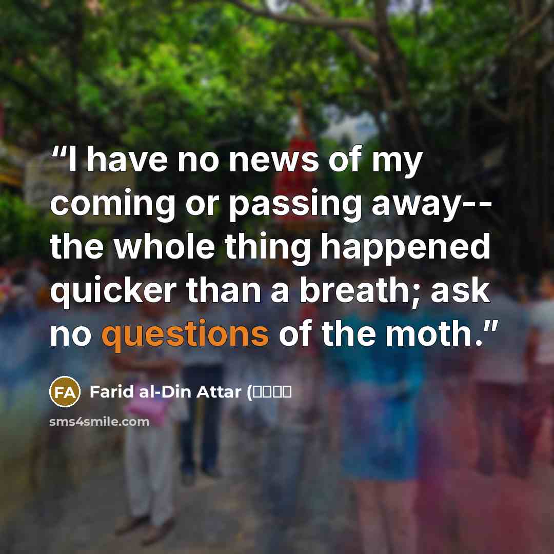 “I have no news of my coming or passing away-- the whole thing happened quicker than a breath; ask no questions of the moth.” quote by Farid al-Din Attar (عطار