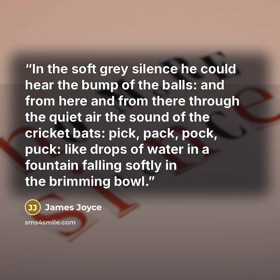 “In the soft grey silence he could hear the bump of the balls: and from here and from there through the quiet air the sound of the cricket bats: pick, pack, pock, puck: like drops of water in a fountain falling softly in the brimming bowl.” quote by James Joyce