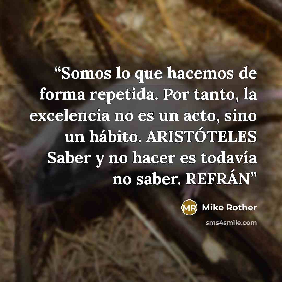 “Somos lo que hacemos de forma repetida. Por tanto, la excelencia no es un acto, sino un hábito. ARISTÓTELES Saber y no hacer es todavía no saber. REFRÁN” quote by Mike Rother