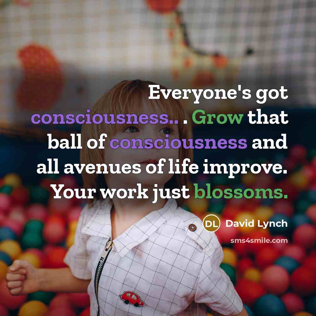 “Everyone's got consciousness.. . Grow that ball of consciousness and all avenues of life improve. Your work just blossoms.” quote by David Lynch