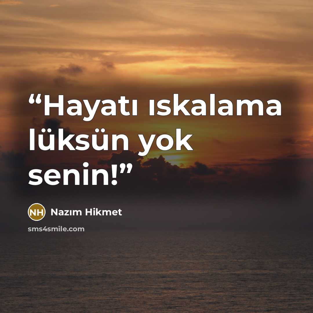 “Hayatı ıskalama lüksün yok senin!” quote by Nazım Hikmet