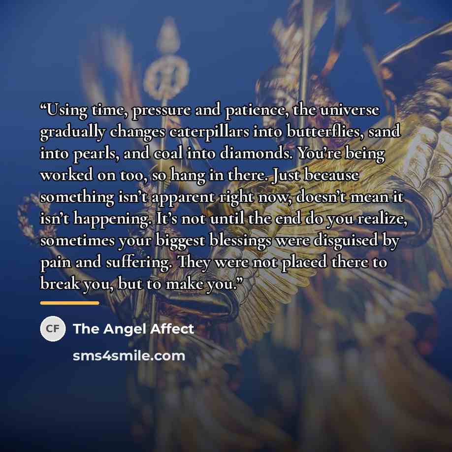 “Using time, pressure and patience, the universe gradually changes caterpillars into butterflies, sand into pearls, and coal into diamonds. You’re being worked on too, so hang in there. Just because something isn’t apparent right now, doesn’t mean it isn’t happening. It’s not until the end do you…” quote by The Angel Affect